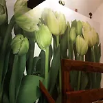 Nienasycenie Bed & Breakfast 3*