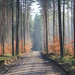 Bed & Breakfast Nienasycenie Brzezno Lynskie