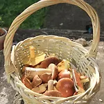 Nienasycenie 3* Brzezno Lynskie