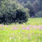 Nienasycenie Bed & Breakfast