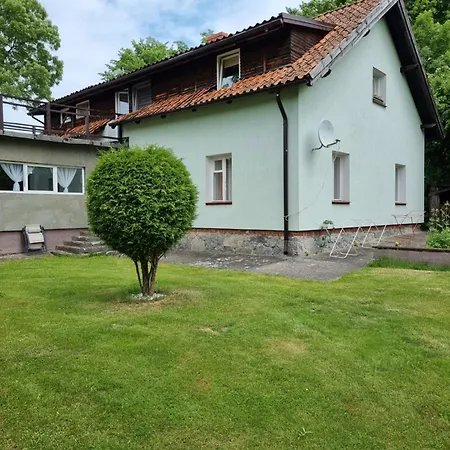Nienasycenie Brzezno Lynskie