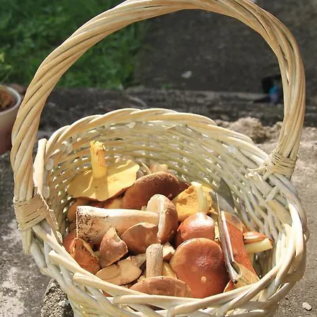 Nienasycenie 3* Brzezno Lynskie