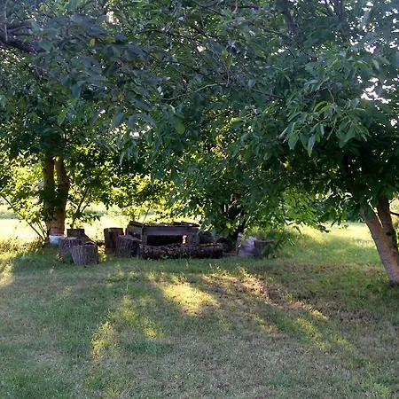 Bed & Breakfast Nienasycenie 3*