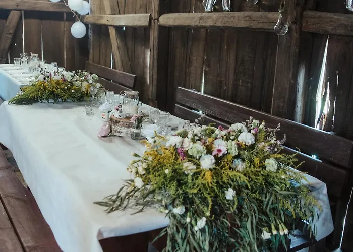 Nienasycenie Brzezno Lynskie