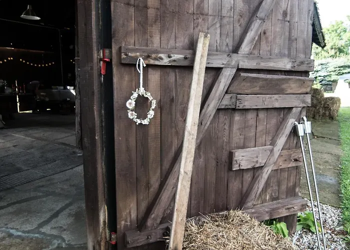 Nienasycenie Brzezno Lynskie