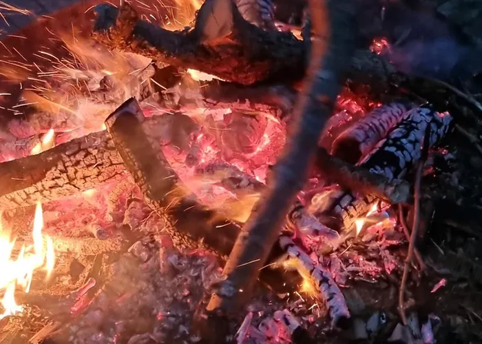 Nienasycenie Brzezno Lynskie