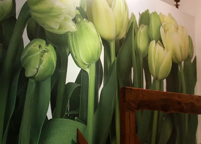 Nienasycenie Bed & Breakfast 3*