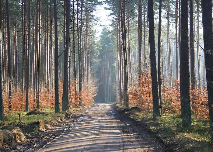 Bed & Breakfast Nienasycenie Brzezno Lynskie