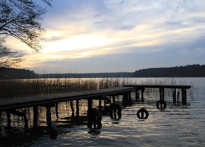 Nienasycenie Brzezno Lynskie