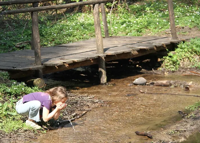 Nienasycenie Bed & Breakfast 3*